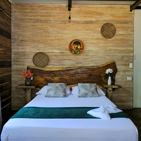 Natyva House Apartment Guachaca Room photo