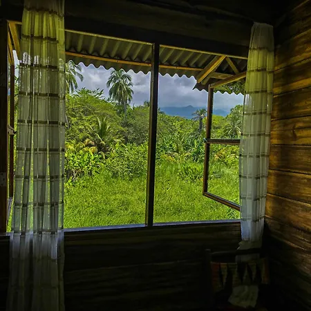 Natyva House Apartment Guachaca Room photo