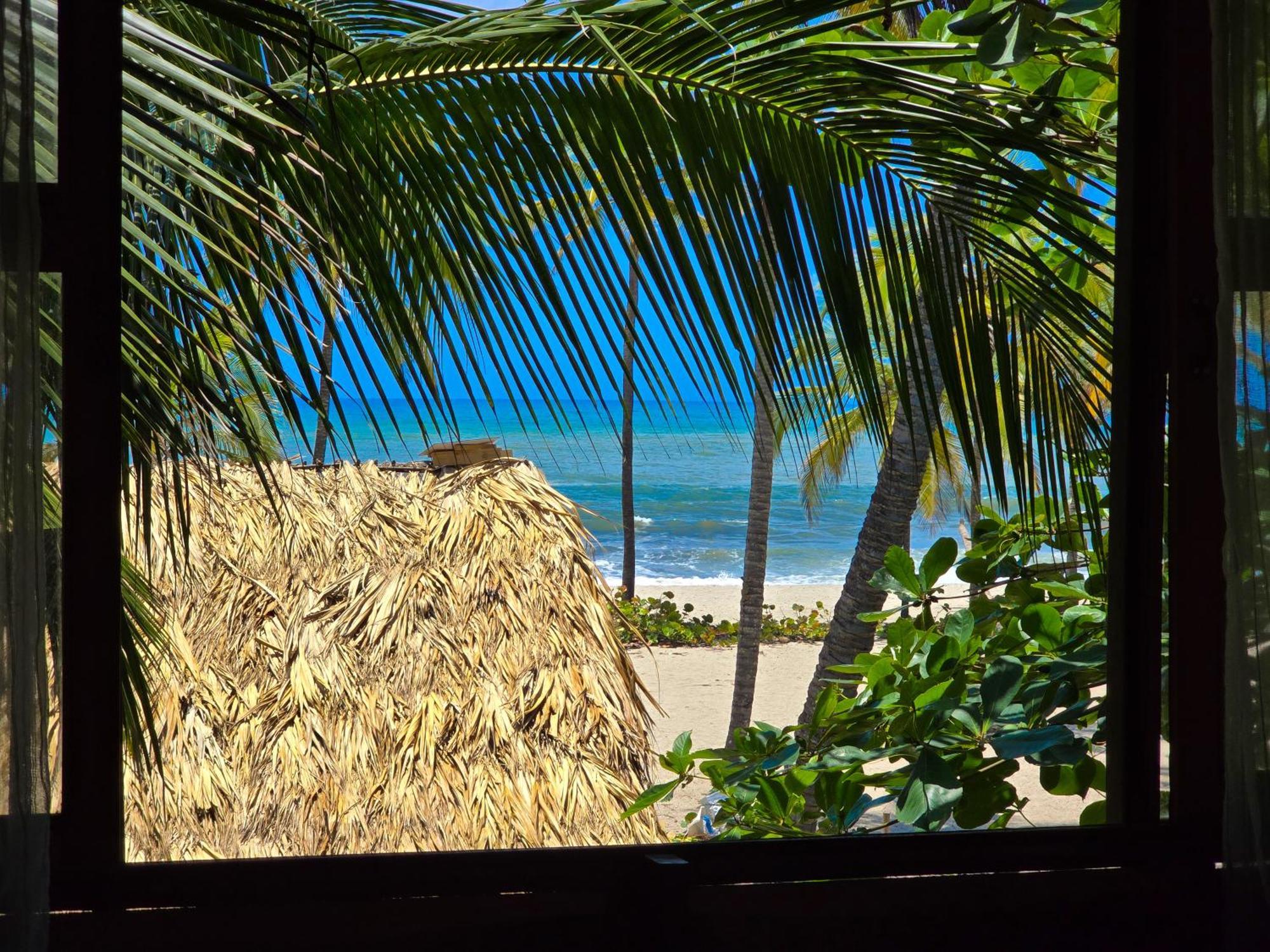 Natyva House * Guachaca